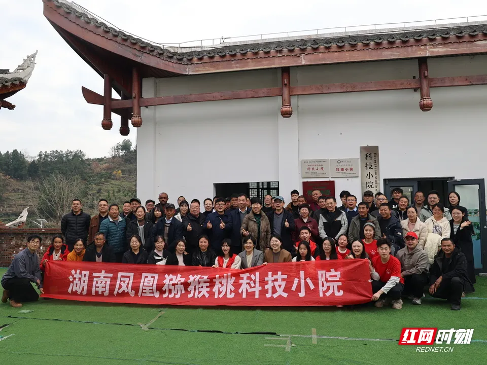 全国猕猴桃技术培训会第十一届在凤凰举行-图片1